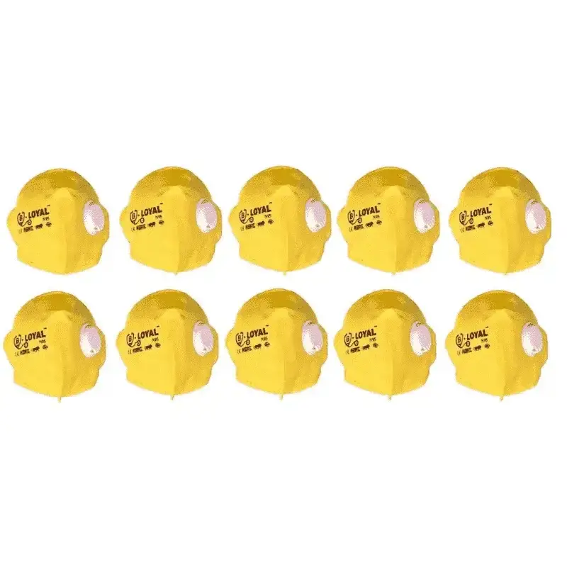 Flat Fold Respirator Mask